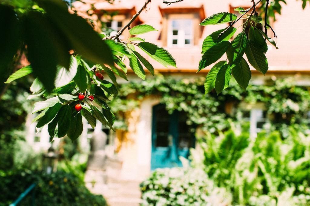 Hotel Villa Sorgenfrei & Restaurant Atelier Sanssouci Radebeul Esterno foto